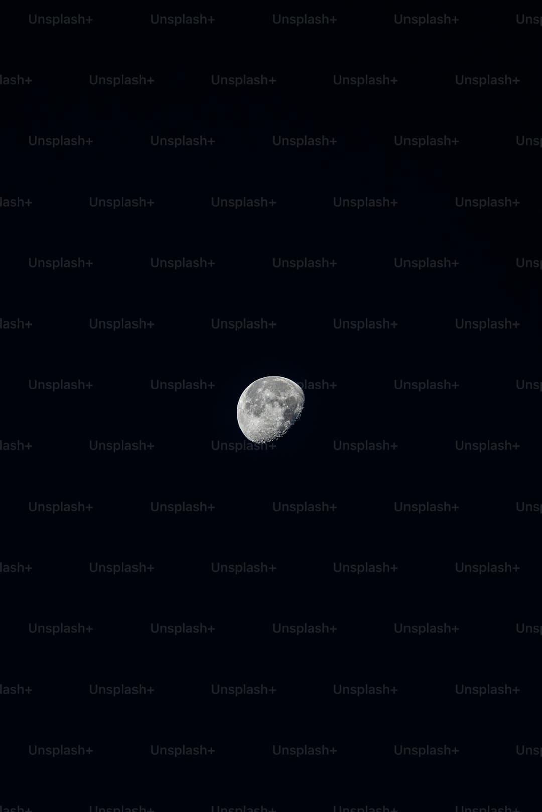 https://p4.img.cctvpic.com/photoworkspace/contentimg/2025/08/31/2025083100105827740.jpg